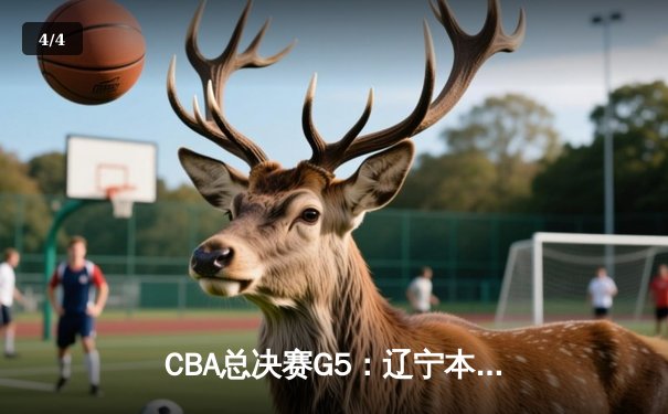 CBA总决赛G5：辽宁本钢加时险胜广东东莞大益，成功卫冕总冠军 - 4